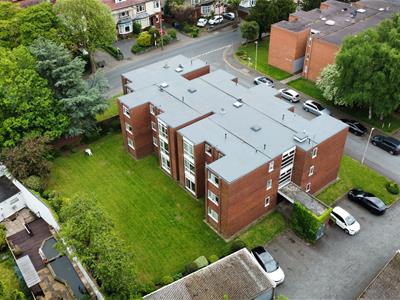 Picture 12
